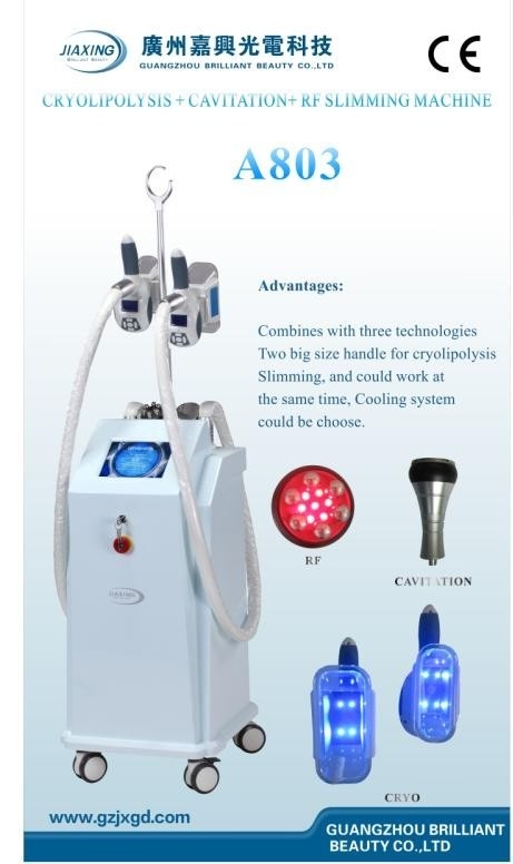 Equipamento não invasor da beleza do emagrecimento de Cryolipolysis com toque Screen/A804 de uma cor de 8 polegadas