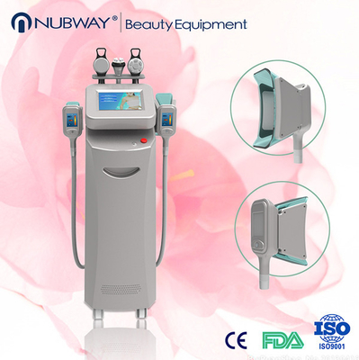 Equipamento da beleza do emagrecimento do corpo da máquina 2014/Cryolipolysis de Cryolipolysis